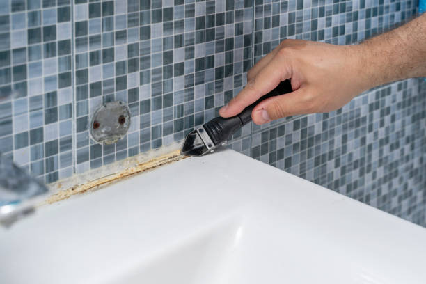 Best Commercial Mold Removal  in Pana, IL