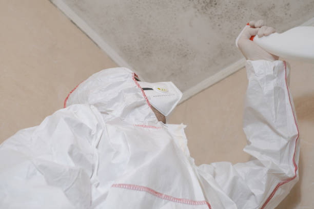 Best Professional Mold Removal  in Pana, IL
